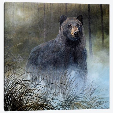 Misty Wild III Canvas Print #LNS4} by B. Lynnsy Canvas Wall Art