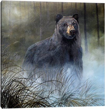Misty Wild III Canvas Art Print - Bear Art