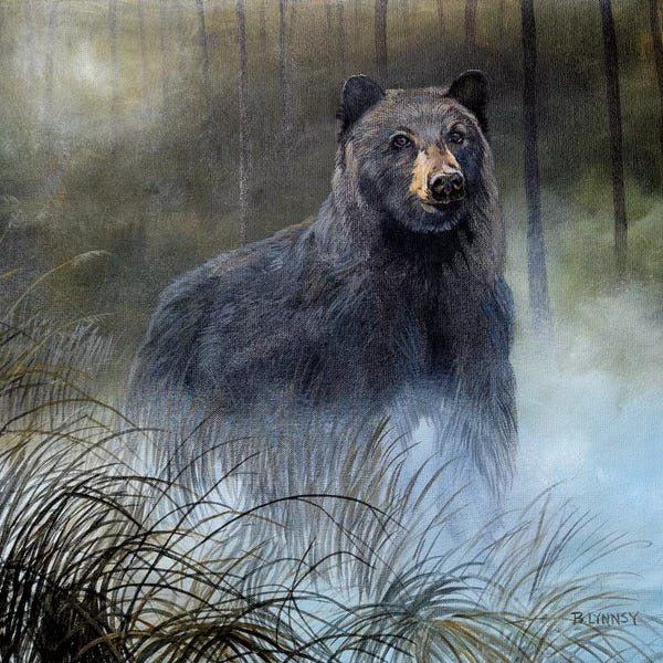 Bears: Misty Wild III by B. Lynnsy