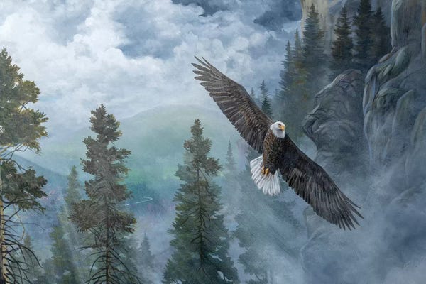 Eagles: Soaring High II by B. Lynnsy