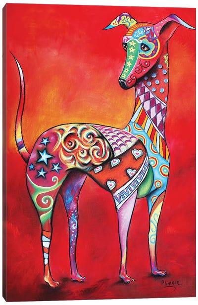 Italian Greyhound Canvas Art Print - Patricia Lintner