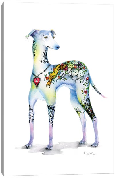 Tattoo Italian Greyhound Canvas Art Print - Patricia Lintner