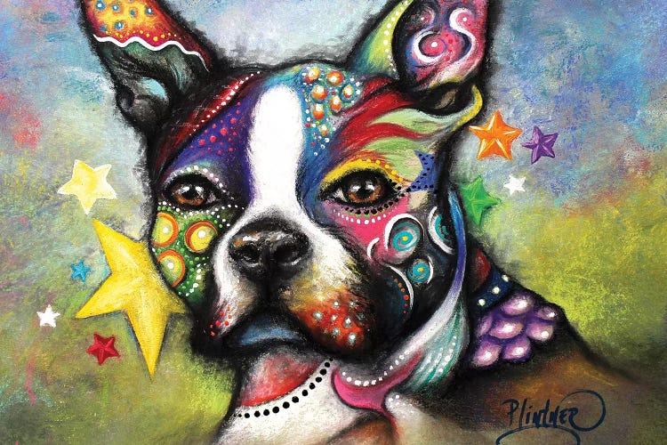 Boho Boston Terrier