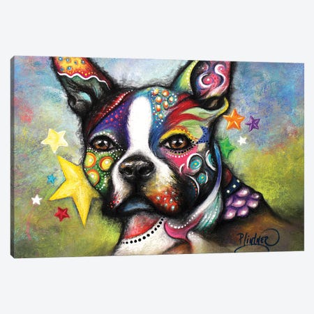 Boho Boston Terrier Canvas Print #LNT2} by Patricia Lintner Canvas Wall Art