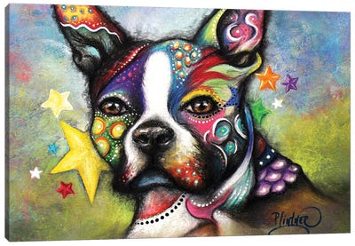 Boho Boston Terrier Canvas Art Print - Patricia Lintner
