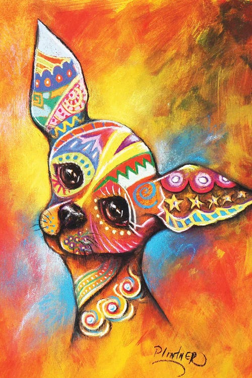 Boho Chihuahua