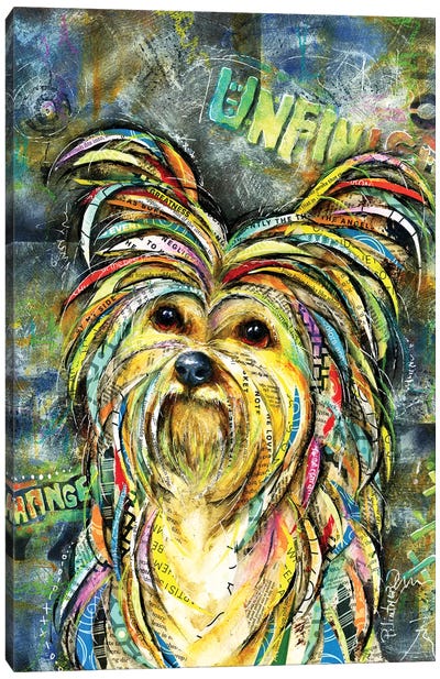 Urban Yorki Canvas Art Print - Yorkshire Terrier Art