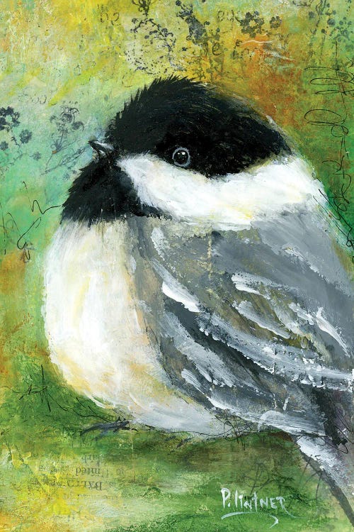 Chickadee