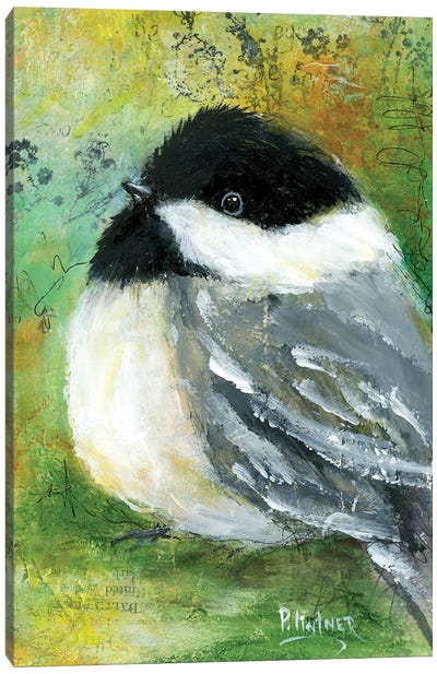 Chickadee Canvas Art Print - Patricia Lintner
