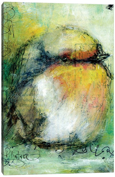 Sparrow Canvas Art Print - Patricia Lintner