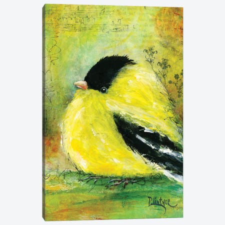 Gold Finch Canvas Print #LNT48} by Patricia Lintner Art Print
