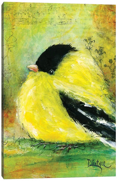 Gold Finch Canvas Art Print - Finch Art