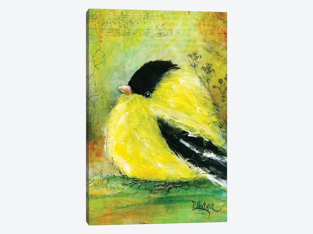 Gold Finch by Patricia Lintner 1-piece Canvas Art Print