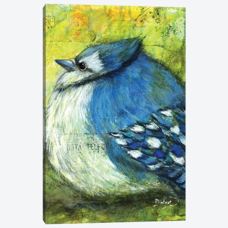 Blue Jay Canvas Print #LNT61} by Patricia Lintner Canvas Print