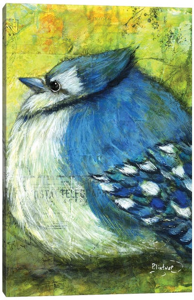 Blue Jay Canvas Art Print - Patricia Lintner