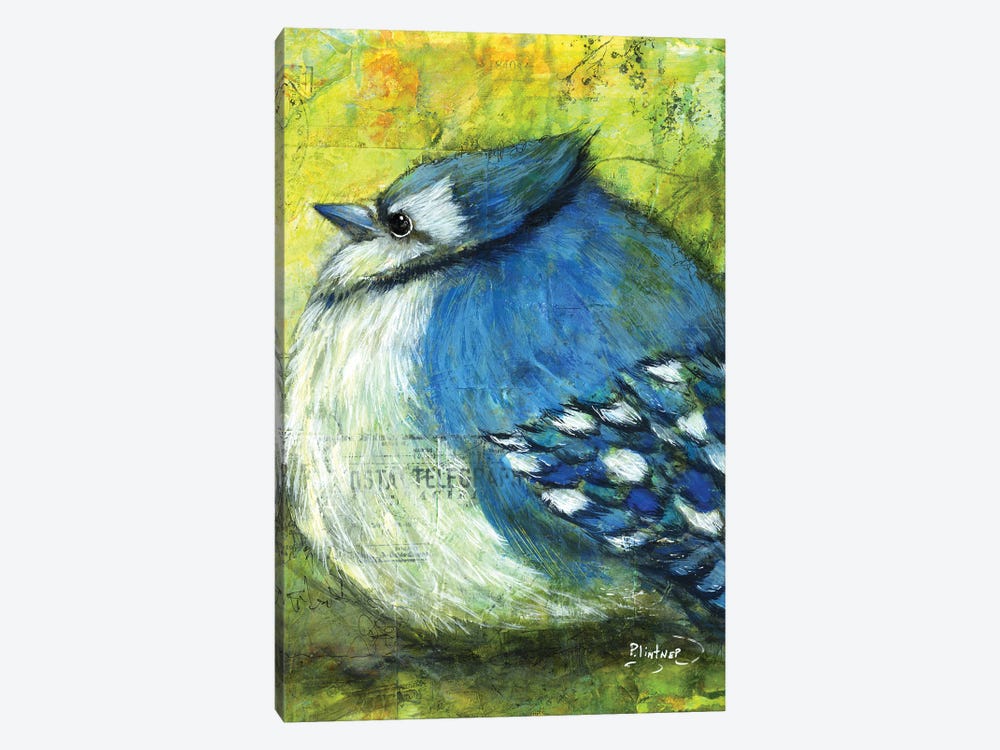 Blue Jay by Patricia Lintner 1-piece Canvas Artwork