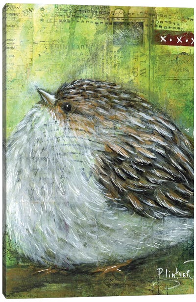 Chipping Sparrow Canvas Art Print - Sparrow Art