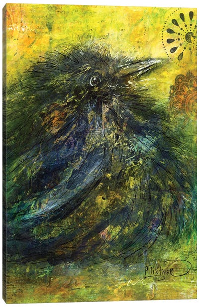 Crow Canvas Art Print - Patricia Lintner