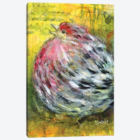 House Finch Canvas Print #LNT65} by Patricia Lintner Canvas Wall Art