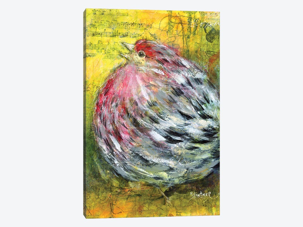 House Finch by Patricia Lintner 1-piece Canvas Artwork