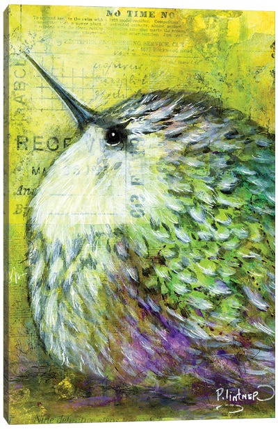 Hummingbird Canvas Art Print - Patricia Lintner