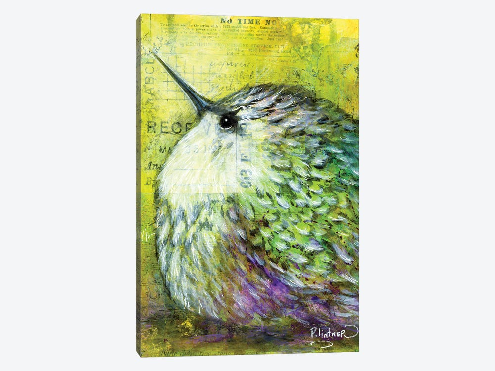 Hummingbird by Patricia Lintner 1-piece Canvas Print