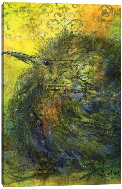 Kiwi Canvas Art Print - Patricia Lintner