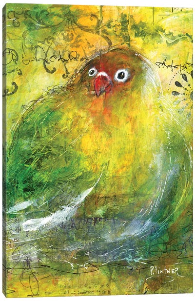 Love Bird Canvas Art Print - Patricia Lintner