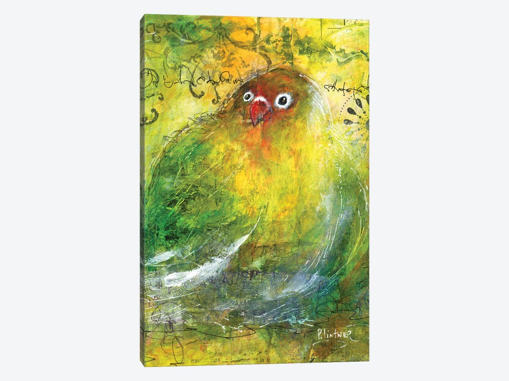 Love Bird by Patricia Lintner 1-piece Canvas Wall Art