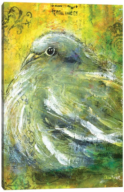 Mourning Dove Canvas Art Print - Patricia Lintner