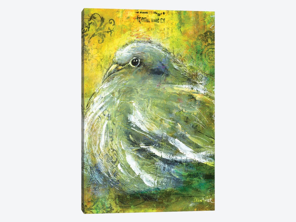 Mourning Dove by Patricia Lintner 1-piece Canvas Artwork