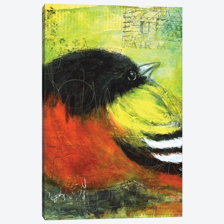 Oriole Canvas Print #LNT71} by Patricia Lintner Canvas Art