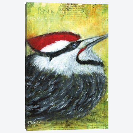 Pileated Woodpecker Canvas Print #LNT72} by Patricia Lintner Canvas Artwork