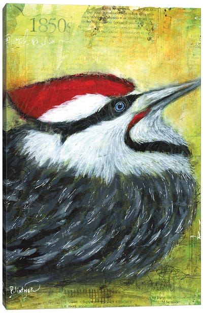 Pileated Woodpecker Canvas Art Print - Patricia Lintner