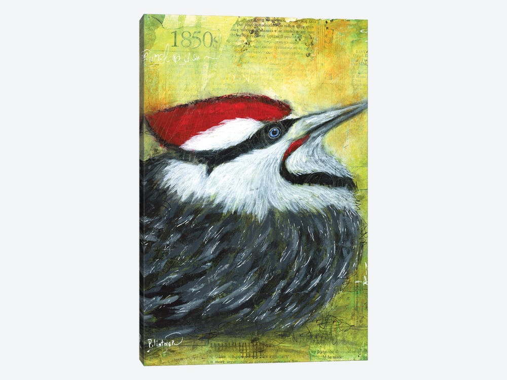 Pileated Woodpecker by Patricia Lintner 1-piece Canvas Wall Art