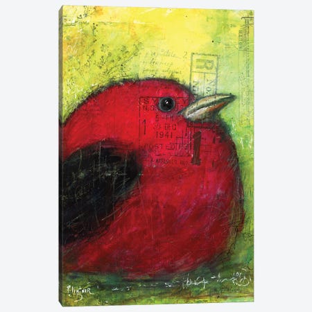Red Tanager Canvas Print #LNT73} by Patricia Lintner Canvas Art