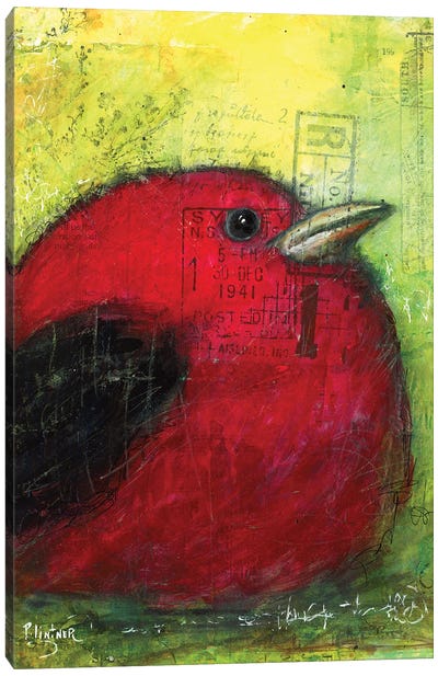 Red Tanager Canvas Art Print - Patricia Lintner