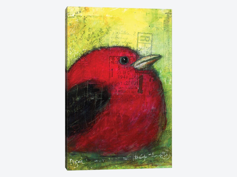Red Tanager by Patricia Lintner 1-piece Canvas Print