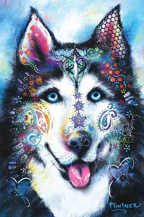 Boho Husky