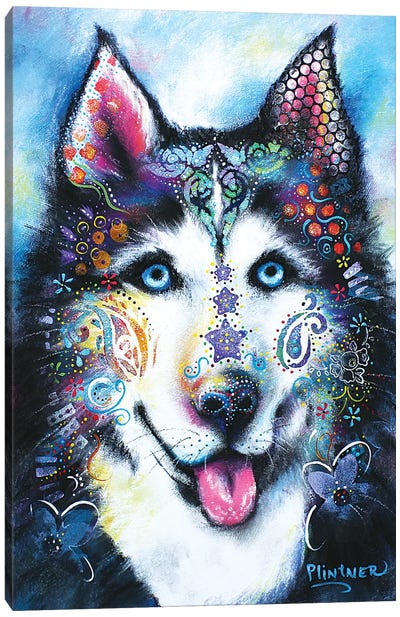 Boho Husky Canvas Art Print - Siberian Husky Art