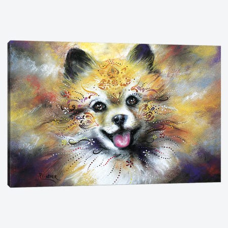 Boho Pomeranian Canvas Print #LNT8} by Patricia Lintner Canvas Wall Art