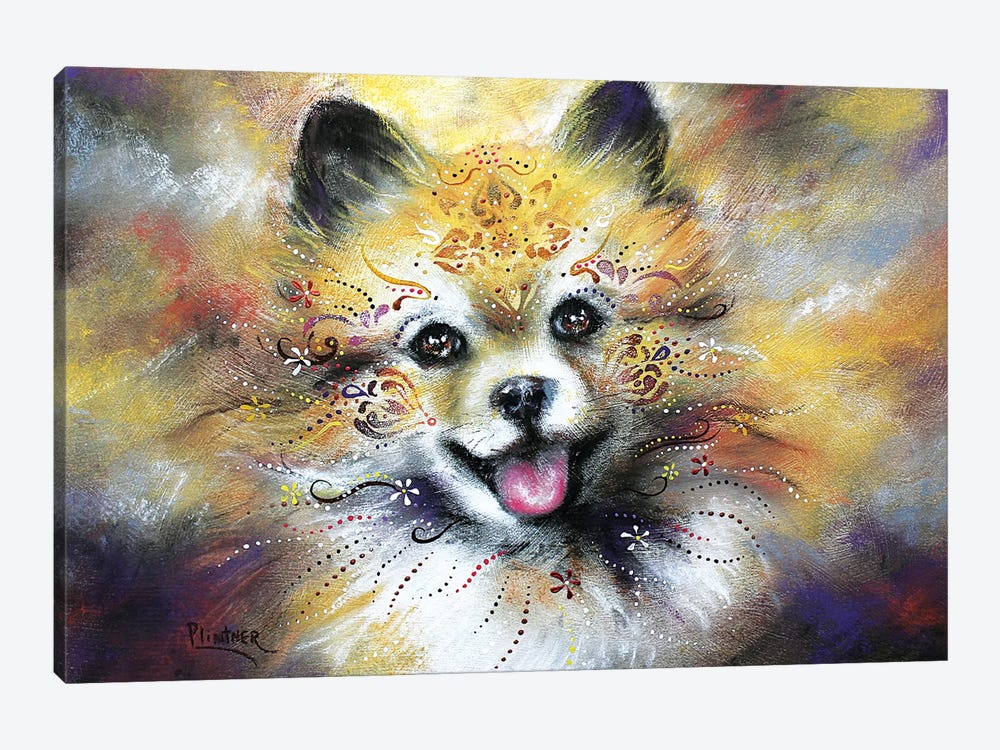 Boho Pomeranian by Patricia Lintner 1-piece Art Print