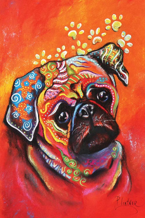 Boho Pug