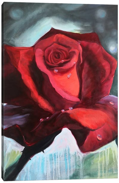 Red Rose With Dew Drops On Its Petals Canvas Art Print - Jane Lantsman