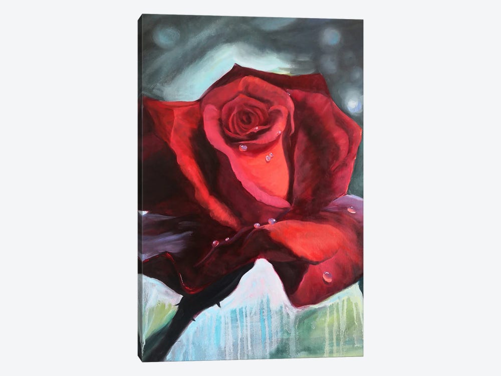 Red Rose With Dew Drops On Its Petals by Jane Lantsman 1-piece Art Print