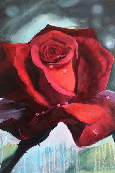 Fine Art Print: Red Rose With Dew Drops On Its Petals by Jane Lantsman
