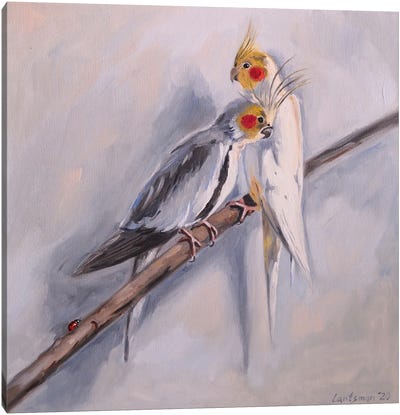 Sweet Couple Of Corella Cocktail Parrots Canvas Art Print - Jane Lantsman
