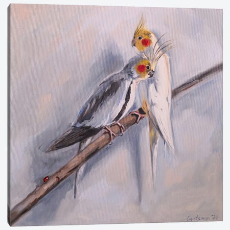 Sweet Couple Of Corella Cocktail Parrots Canvas Print #LNX19} by Jane Lantsman Canvas Art