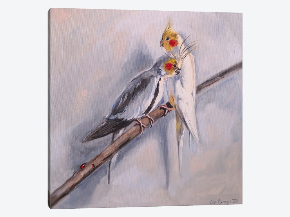 Sweet Couple Of Corella Cocktail Parrots by Jane Lantsman 1-piece Canvas Art Print