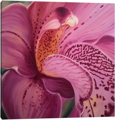 Orchid - A Flower Of Passion II Canvas Art Print - Similar to Georgia O'Keeffe
